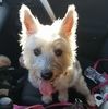 jaxx729